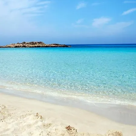 Sadie & Robins One Bedroomed Cyprus *